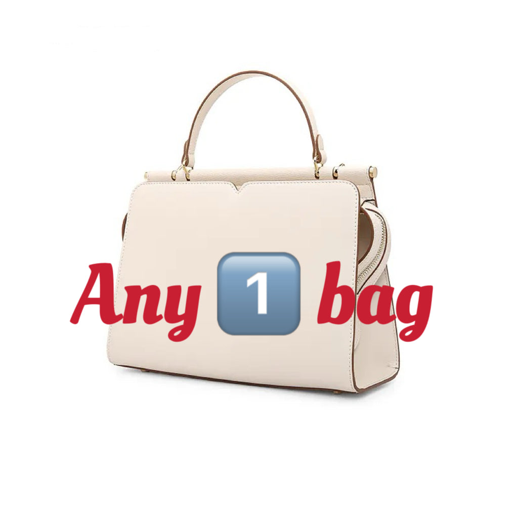 99-179 Any 1 Bags